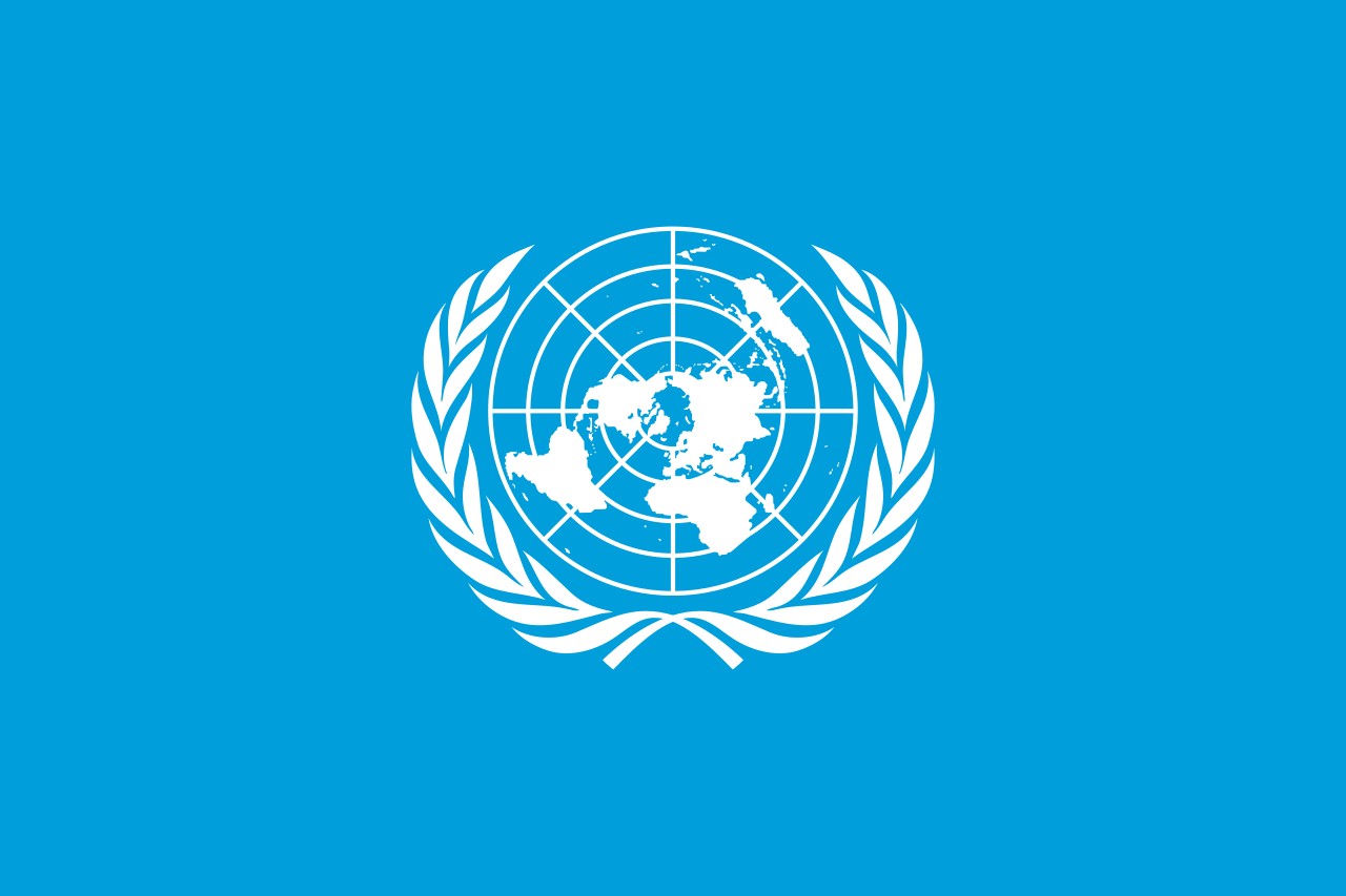 66/2023: Model United Nations